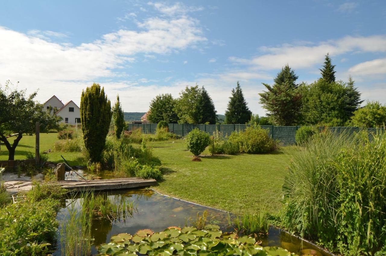 Gîte Cigogne Odratzheim Eksteriør billede